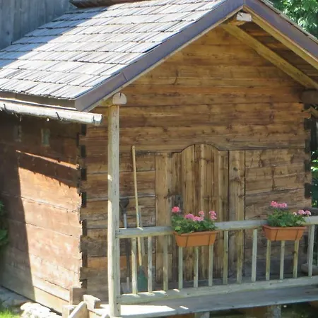 Appartamento Alpine 4 *